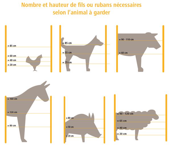Nombre et hauteur de fils ou rubans nécessaires selon l’animal à garder